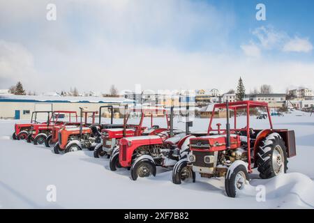 Hrisey Islande - 03 mars 2023 : tracteurs garés dans une rangée par une journée d'hiver enneigée Banque D'Images