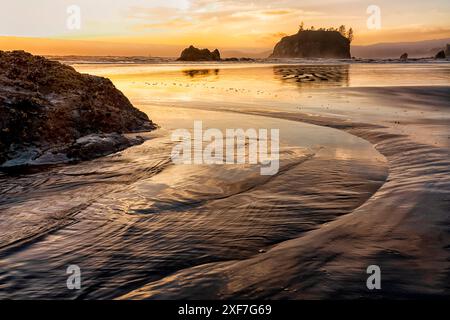 États-Unis, État de Washington, Parc National Olympique, Ruby Beach. Les piles de mer sont communes le long de cette plage. Banque D'Images