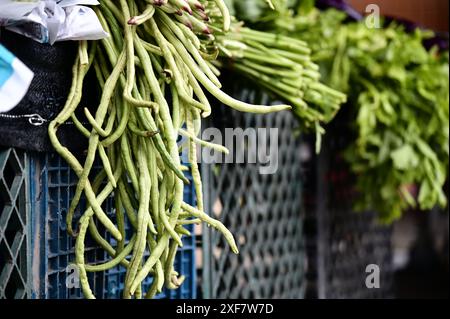 Les haricots longs (haricots longs), un spectacle commun sur les marchés de Taiwan, sont remplis de vitamines, de minéraux et de fibres alimentaires. Banque D'Images