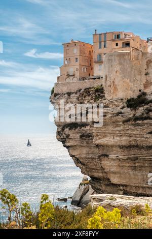 Maisons perchées sur des falaises calcaires sous-dépouillées par la mer et la météo dans la citadelle de Bonifacio en Corse avec un yacht à voile au loin Banque D'Images