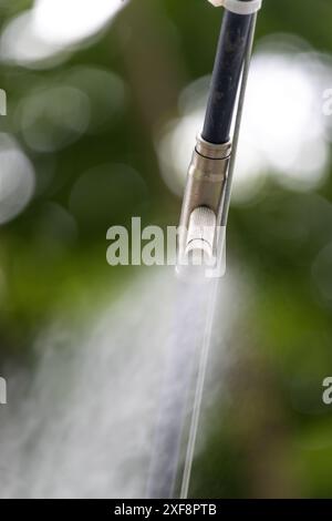 L'aérosol d'eau jette d'un tuyau suspendu dans le parc, gros plan Banque D'Images