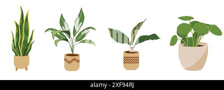 Divers pots de plantes sur fond blanc illustration vectorielle. Illustration de Vecteur