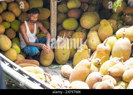 2 juillet 2024, Narayanganj, Dhaka, Bangladesh : des bateaux remplis de jackfruits de différentes parties du pays portuent près d'une rive de rivière à Narayanganj, Bangladesh. Comme le marché flottant ne siège que pendant la mousson chaque année, les acheteurs et les vendeurs se mêlent en marchandant pour obtenir le meilleur prix pour le fruit. Le jackfruit, fruit national du Bangladesh, est vendu sur le marché temporaire au détail et en gros. La saison du jackfruit bat maintenant son plein au Bangladesh avec une variété de la délicieuse culture tropicale. Au fur et à mesure que la saison progresse, les bateaux continueront à arriver, assurant un approvisionnement régulier Banque D'Images