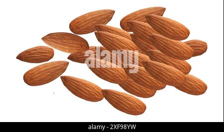 Illustration vectorielle d'amandes. Amandes isolées ou noix d'amande. Illustration de Vecteur