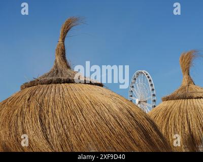 Gros plan de parasols de paille sur la plage avec une grande roue et un ciel dégagé en arrière-plan, scheveningen, pays-bas Banque D'Images