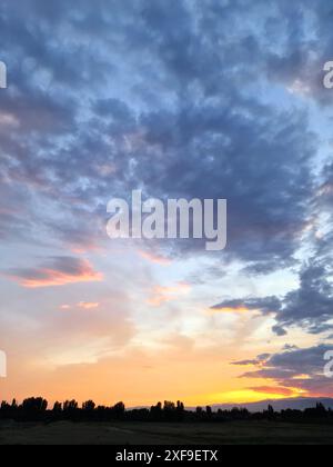 Un coucher de soleil époustouflant peint le ciel dans des tons vibrants de rose et d'orange, dessinant des arbres en arrière-plan tandis que des nuages moelleux s'étendent vers le Banque D'Images