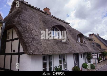 Maison avec toit de chaume et plusieurs fenêtres, noir et blanc à colombages et ciel nuageux, maasholm, allemagne Banque D'Images