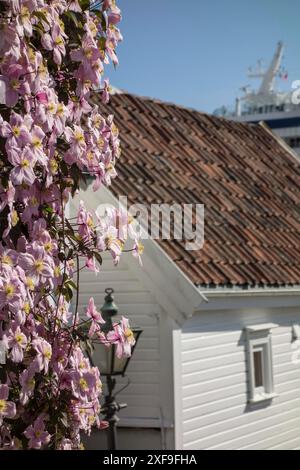 Fleurs roses devant une maison blanche avec un toit rouge brique et un bateau en arrière-plan, stavanger, norvège Banque D'Images