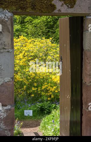 Une vieille porte en bois dans un mur de pierre menant à un jardin fleuri, inverness, écosse, Grande-Bretagne Banque D'Images