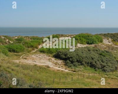 Vue sur les dunes verdoyantes et la mer par une journée claire et calme, ostende, belgique Banque D'Images