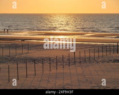 Coucher de soleil sur la mer, plage tranquille avec des poteaux dans le sable et un ciel doré, ostende, belgique Banque D'Images