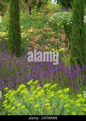 Parterre de fleurs luxuriant avec lavande et diverses plantes vertes un jour d'été, Steinfurt, Rhénanie du Nord-Westphalie, Allemagne Banque D'Images