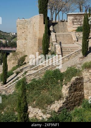 Vieux murs en pierre et escaliers avec végétation et cyprès dans un environnement historique, tolède, espagne Banque D'Images