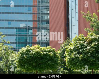 Bâtiment moderne en verre avec des arbres entre les deux dans un environnement urbain, Vienne, Autriche Banque D'Images