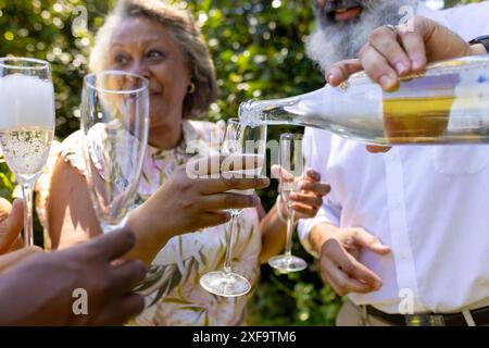 Verser du champagne, amis seniors célébrant un mariage en plein air, profiter de l'occasion festive ensemble Banque D'Images