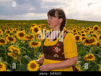 Une femme se tient debout au milieu d'un champ avec beaucoup de tournesols jaunes. Cheveux tressés, portant une blouse jaune, une robe de soleil brune et un tablier jaune chez su Banque D'Images