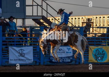 Cow-boy de rodéo professionnel Josh Davison dans la selle bronc événement dans un rodéo dans l'Utah. Banque D'Images