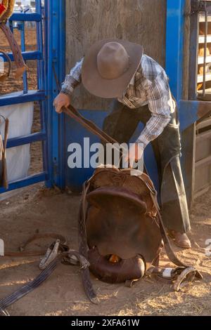 Un cow-boy bronc de selle ajuste sa selle spéciale de buck avant de participer à un rodéo dans l'Utah rural. Noter l'absence d'avertisseur sonore en selle. Banque D'Images