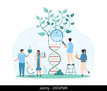 Biotechnologie, recherche génétique pour l'agriculture et l'agronomie. De minuscules personnes avec la loupe étudient le génome de la plante poussant à partir de l'hélice d'ADN, gènes de germe vert illustration vectorielle de dessin animé Illustration de Vecteur