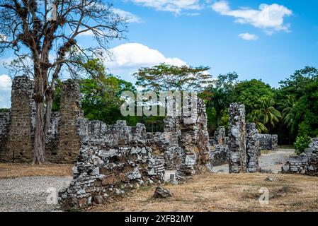 Ruines de Panama Viejo ou Old Panama, la partie restante de la ville de Panama d'origine, qui a été détruite en 1671 par le corsaire gallois Henry Morgan, Banque D'Images