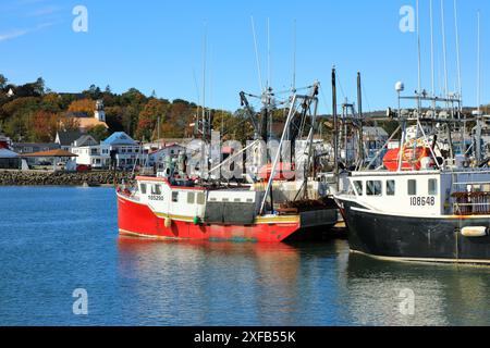 Géographie / voyage, Canada, Nouvelle-Écosse, Digby, Digby Harbor, flotte de pétoncles, baie de Fundy, DROITS-SUPPLÉMENTAIRES-AUTORISATION-INFO-NON-DISPONIBLE Banque D'Images