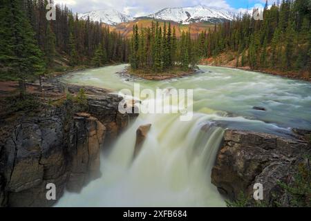 Géographie / voyage, Canada, Alberta, Parc national Jasper, chutes Sunwapta, INFORMATIONS-AUTORISATION-DROITS-SUPPLÉMENTAIRES-NON-DISPONIBLES Banque D'Images