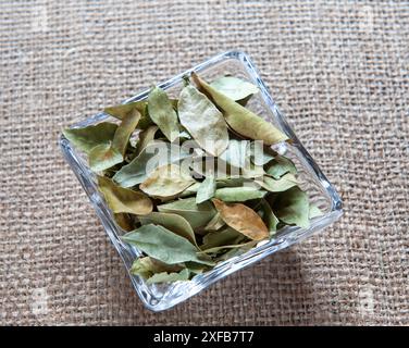 Feuilles de laurier séchées dans un plat en verre Banque D'Images