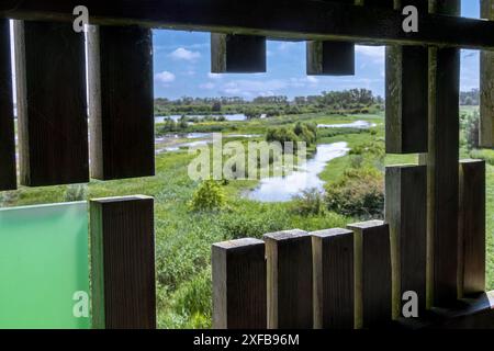 Vue depuis la cachette d'oiseaux sur la réserve naturelle de Blankaart, marais d'eau douce géré par Natuurpunt à Woumen près de Dixmude, Flandre occidentale, Belgique Banque D'Images