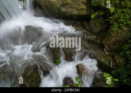 Cascade de Paglajhora , célèbre cascade en mousson, à Kurseong, montagnes himalayennes de Darjeeling, Bengale occidental, Inde. Origine du flux de la rivière Mahananda Banque D'Images