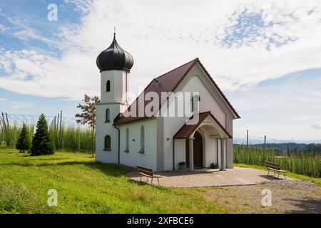 Chapelle et jardins de houblon, culture du houblon, plantation de houblon, chapelle St George, chapelle St George, Dietmannsweiler, près de Tettnang, haute Souabe, lac Banque D'Images