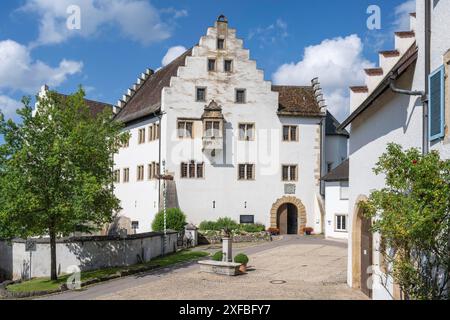 Château des champs de fleurs à Hegau, Tengen, district de Constance, Bade-Wuerttemberg, Allemagne Banque D'Images