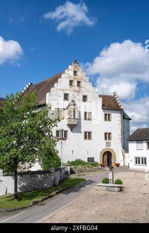 Château des champs de fleurs à Hegau, Tengen, district de Constance, Bade-Wuerttemberg, Allemagne Banque D'Images