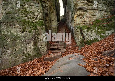 Devil gorge à l'Eifel, Teufelsschlucht avec rochers puissants et canyon, sentier de randonnée en Allemagne, formation rocheuse de grès, automne Banque D'Images