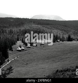 Une clairière de montagne avec des huttes de berger vue d'une colline. Banque D'Images