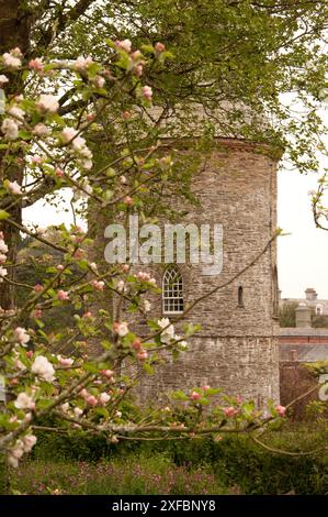 Château d'eau, Trelissick Gardens, Cornouailles, Royaume-Uni Banque D'Images