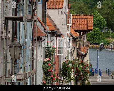 Rue étroite dans le vieux centre-ville avec des maisons, des rosiers et une vue sur une rivière sous un ciel nuageux, flensburg, schleswig-holstein, allemagne Banque D'Images