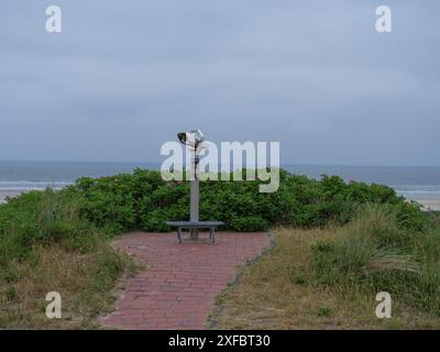 Plate-forme d'observation avec jumelles et banc, chemin pavé, entouré de buissons verts, avec vue sur la mer, juist, mer du nord, allemagne Banque D'Images