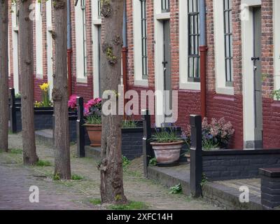 Rue calme avec des arbres et des plantes le long des murs de briques, avec des plantes en pot devant chaque maison Banque D'Images