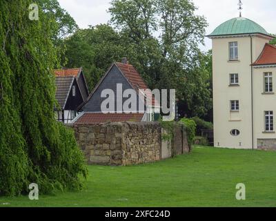 Jardin à côté d'un château avec mur de pierre, grand arbre et prairie verte, Herten, Rhénanie du Nord-Westphalie, Allemagne Banque D'Images