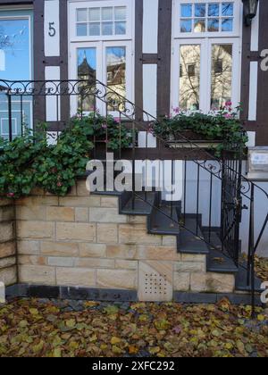 Escalier en pierre avec fleurs et fenêtres sur une maison à colombages, atmosphère d'automne, ibbenbueren, Rhénanie du Nord-Westphalie, allemagne Banque D'Images