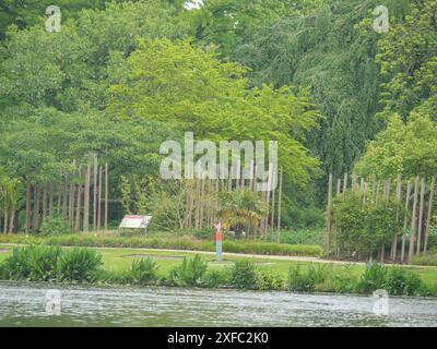 Un jardin bien entretenu avec de grands arbres et des plantes dans un cadre calme et verdoyant sur la rive, Leyde, pays-Bas Banque D'Images