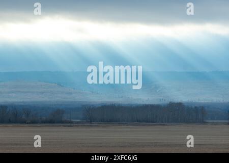 Les rayons du soleil brillent brillamment sur les prairies canadiennes du Manitoba pendant la saison automnale en fin d'après-midi. Banque D'Images