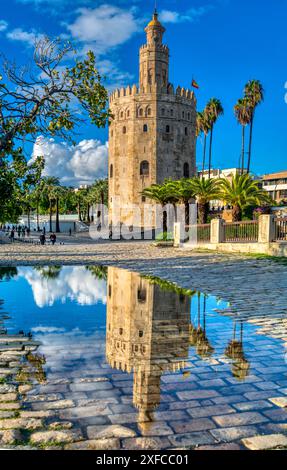 Vue imprenable sur la Torre del Oro se reflétant dans une flaque après la pluie à Séville, Espagne. Ciel bleu clair améliore les couleurs vibrantes et deta historique Banque D'Images