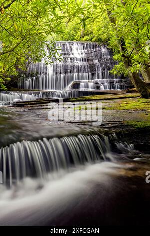 Chutes de Grogan Creek (ou chutes sur Grogan Creek) - sentier Butter Gap, forêt nationale de Pisgah, près de Brevard, Caroline du Nord, États-Unis Banque D'Images