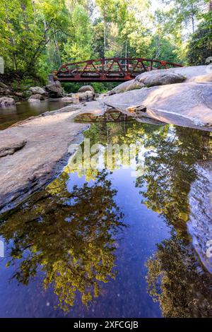 Pont sur la rivière Davidson près de Daniel Ridge Trail - Pisgah National Forest, Brevard, Caroline du Nord, États-Unis Banque D'Images