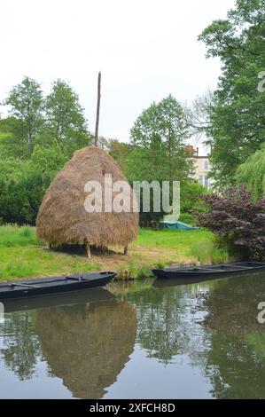 Meules de foin dans le Spreewald avec des barges typiques et le château en arrière-plan, Lübbenau Banque D'Images