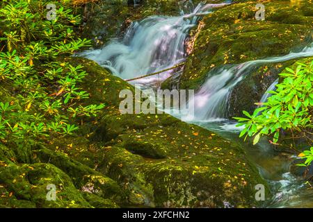 Gros plan sur les cascades de Rocky Fork Creek dans le parc d'État de Rocky Fork, Tennessee. Banque D'Images