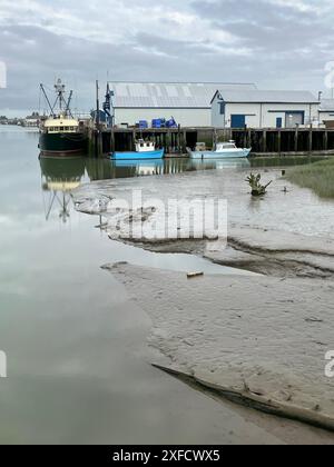 London Landing Gray Morning Docks. Les bateaux de pêche commerciaux sont attachés aux quais de London Landing dans le port de Steveston par un matin gris à marée basse. Banque D'Images