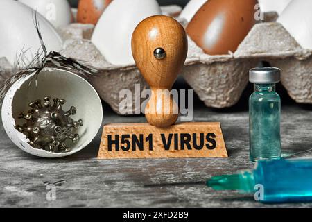 Allemagne - 02 juillet 2024 : virus H5N1 - grippe aviaire sur un timbre à côté d'une boîte d'oeufs et oeufs d'un oiseau ou d'une poule. Seringue avec vaccin ou vaccination contre le virus de la grippe A. Symbolise la recherche sur la maladie et l'endiguement d'une éventuelle pandémie. PHOTOMONTAGE *** virus H5N1 - Vogelgrippe auf einem Stempel neben Eierschachtel und Eier eines Vogels, bzw. Huhns. Eine Spritze mit Impfstoff bzw. Impfung gegen influenza-A-virus. Symbolisiert Forschung zur Erkrankung und Eindämmung einer möglichen Pandemie. FOTOMONTAGE Banque D'Images