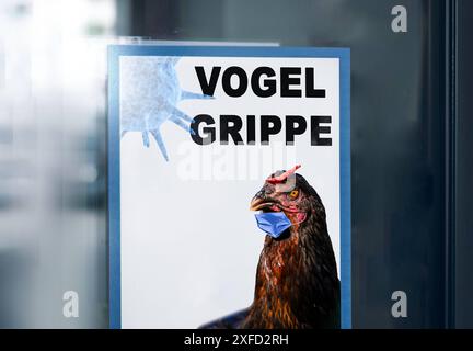 Allemagne - 02 juillet 2024 : panneau sur une vitrine avec la mention VOGELGRIPPE. Oiseau avec masque symbolise le risque d'infection ou d'infection par le virus H5N1. PHOTOMONTAGE *** Schild an einem Schaufenster mit Hinweis VOGELGRIPPE. Vogel mit Maske symbolisiert Ansteckungsgefahr bzw. Ansteckung durch das virus H5N1. FOTOMONTAGE Banque D'Images